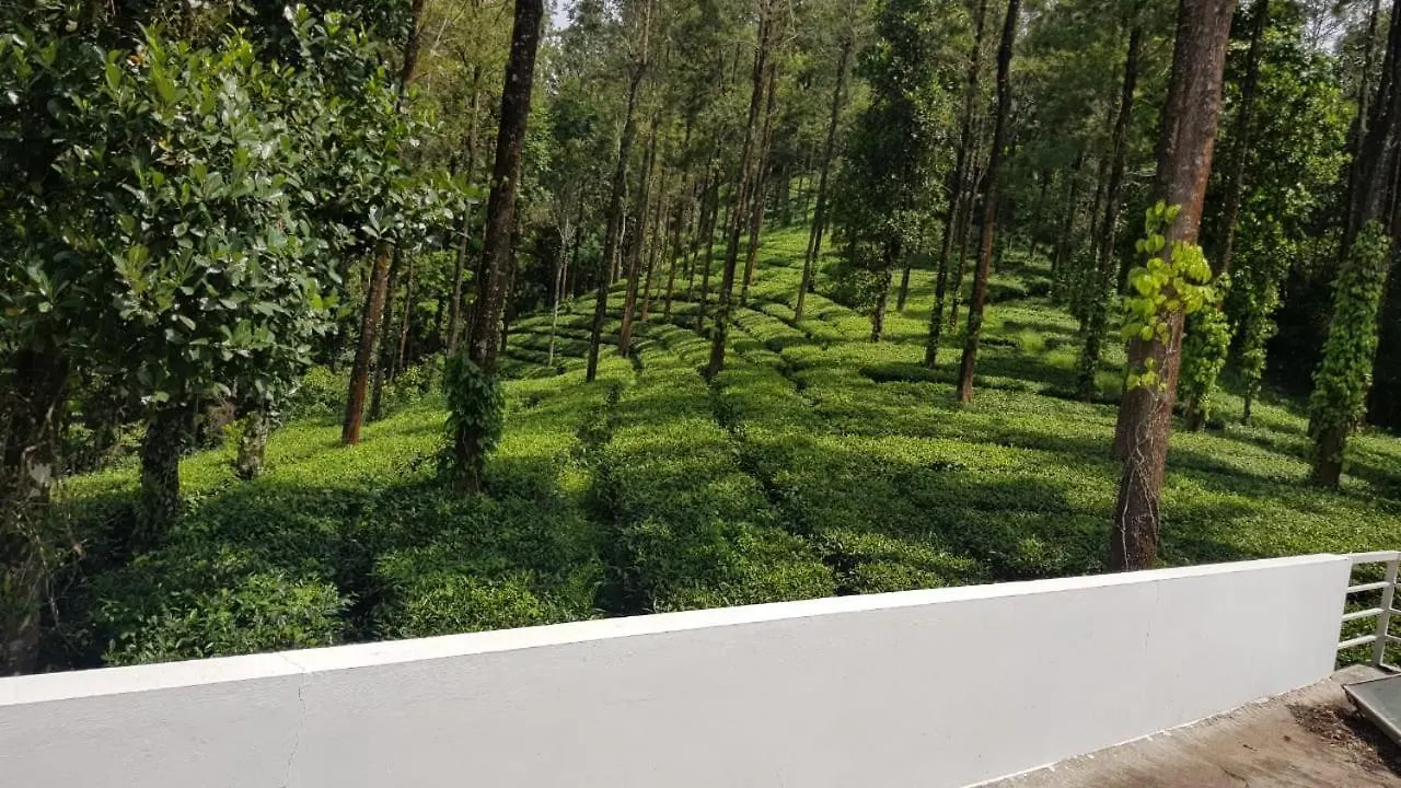 Apartment Japanese Estate Bunglow Munnar